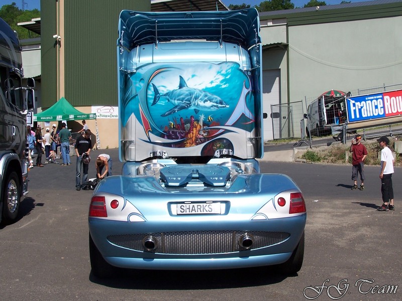 Svempas Shark (26).JPG